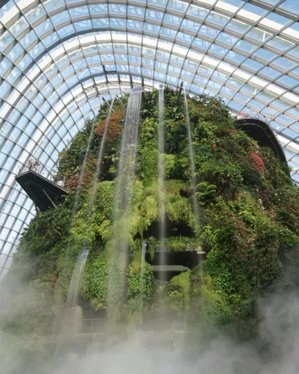 06 Biophilic Design (1)